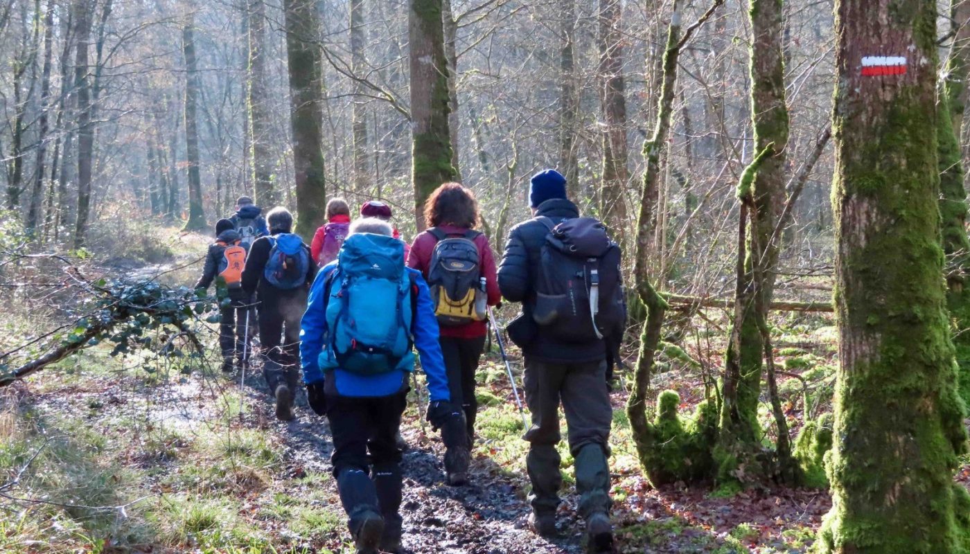 marcheurs dans un bois