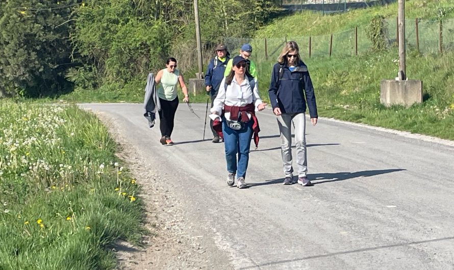 Randonnée du papillon à BEAUVAL le 27 avril 2025