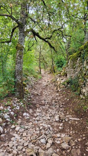 01-A-la-sortie-de-Figeac