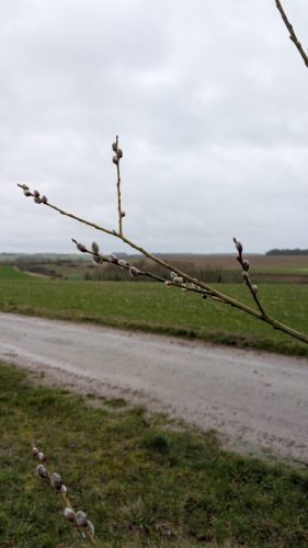 22-02-26 Reperage-autour-dHangest-sur-Somme 2