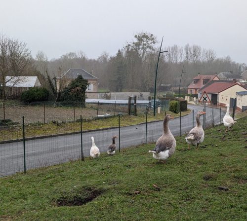 22-02-26 Reperage-autour-dHangest-sur-Somme 3