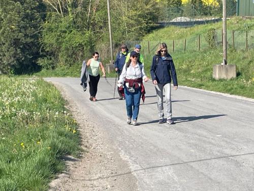 Randonnée du papillon - BEAUVAL - 27 avril 2025