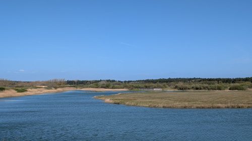 PXL 20260412 091856892.MP 