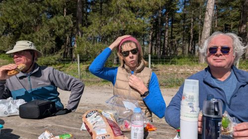 PXL 20260412 100802627.MP 