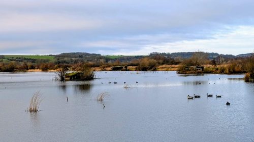 Randonnee-Long 08-02-26 2