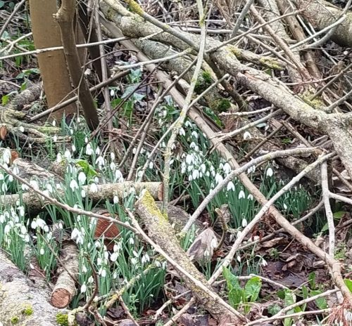 Randonnee-Long 08-02-26 4