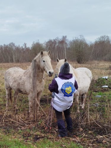 Randonnee-Long 08-02-26 5